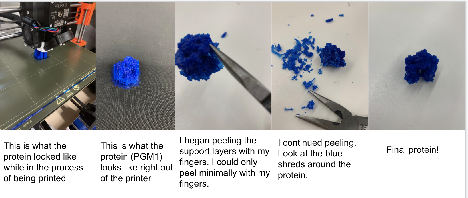 pgm1