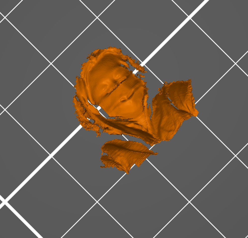 face_scan