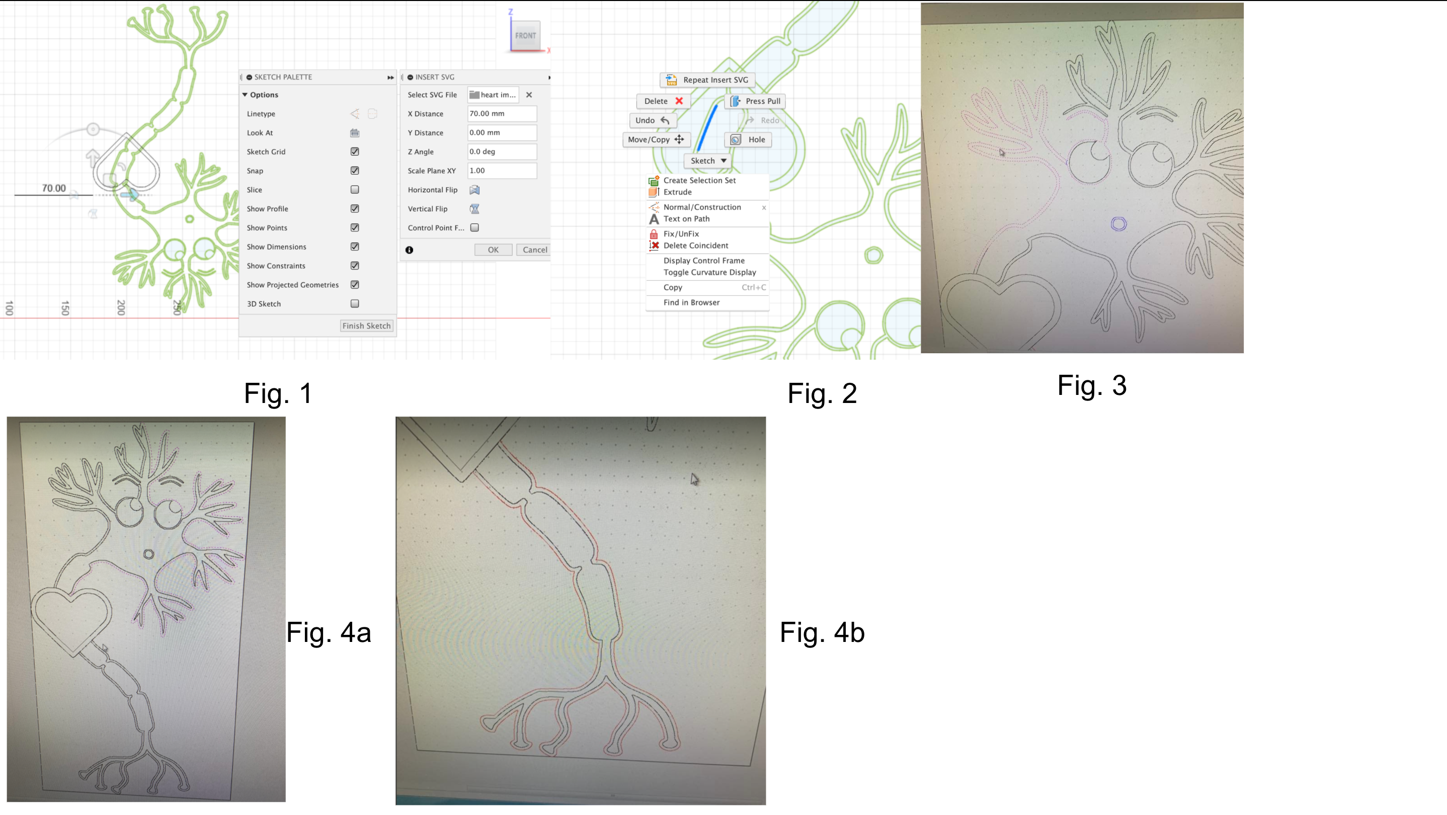 neuron images